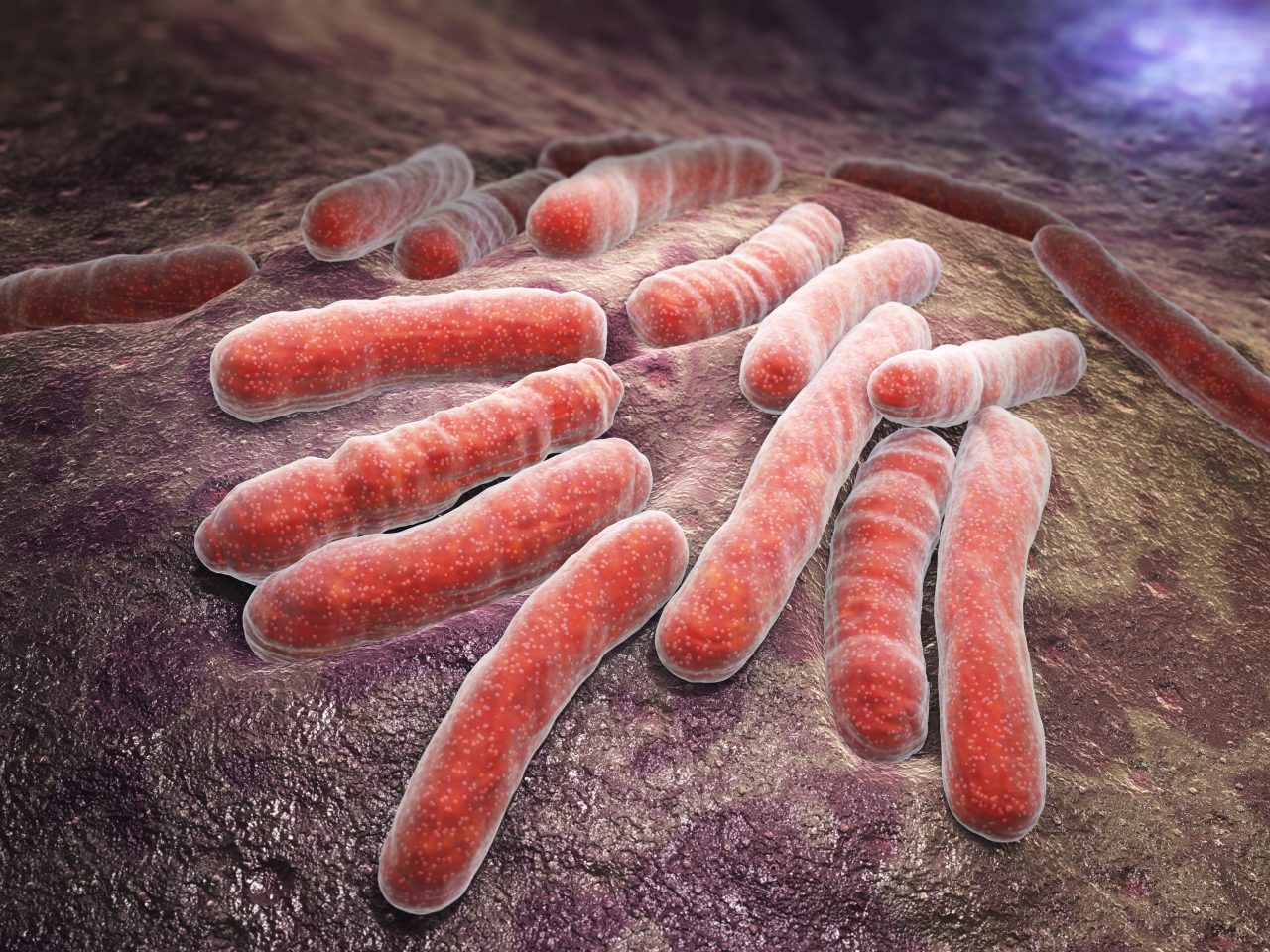 tuberculosis-bacteria-2021-08-26-15-33-01-utc-1-1280x960.jpg