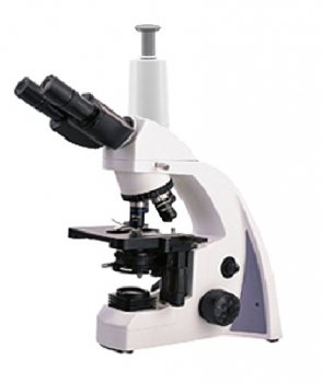 md_Microscopio-YR.jpg