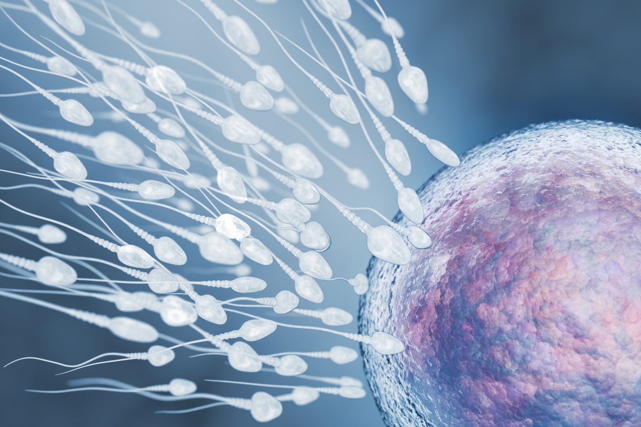 illustration-of-sperm-and-egg-cell-2021-08-26-15-33-00-utc-1280x853.jpg