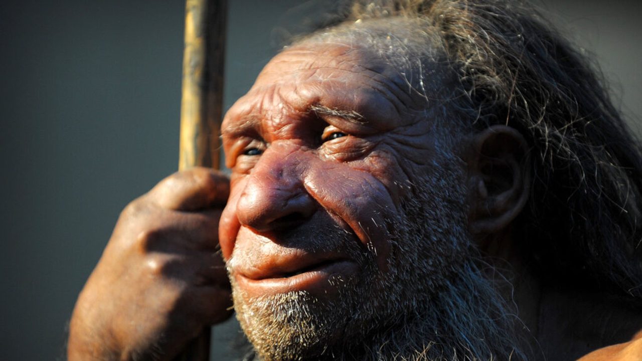 skynews-neanderthal-human_6148757-1280x720.jpg