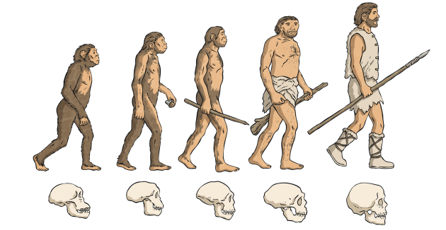 evolution-wiki_ver_1.png