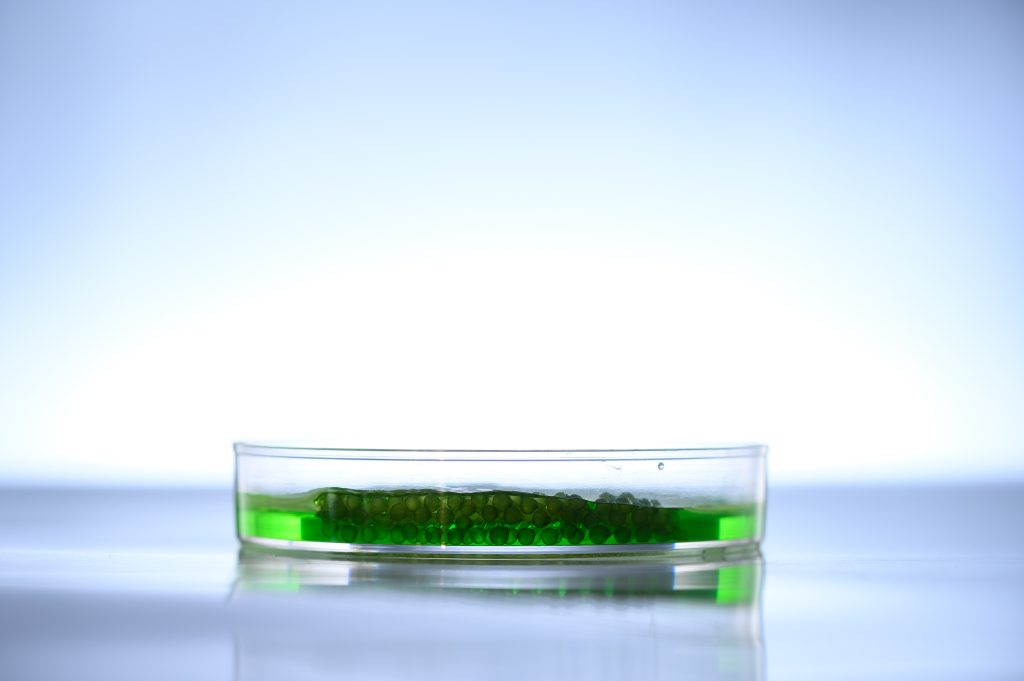 algae-research-in-laboratories-biotechnology-scie-2022-10-06-03-40-39-utc-1024x681.jpg
