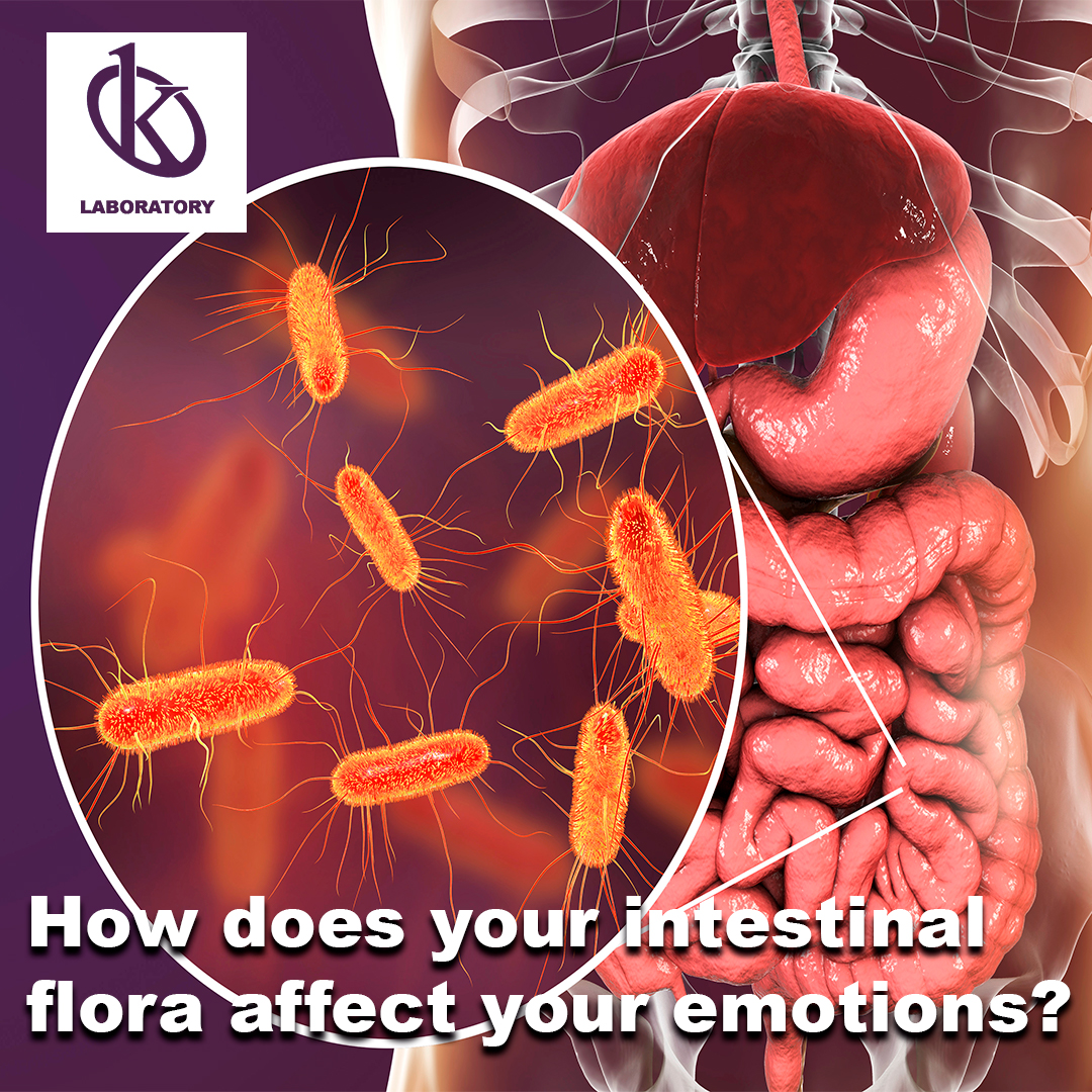 how-does-your-intestinal-flora-affect-your-emotions-kalstein-france