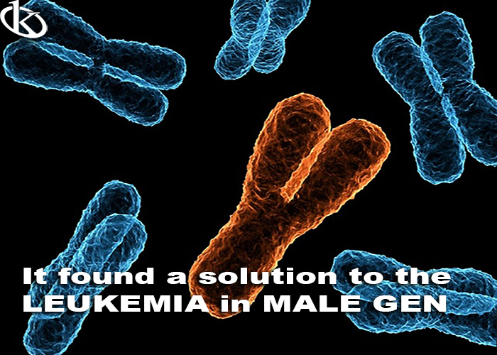 cromosomasINBLOG.jpg