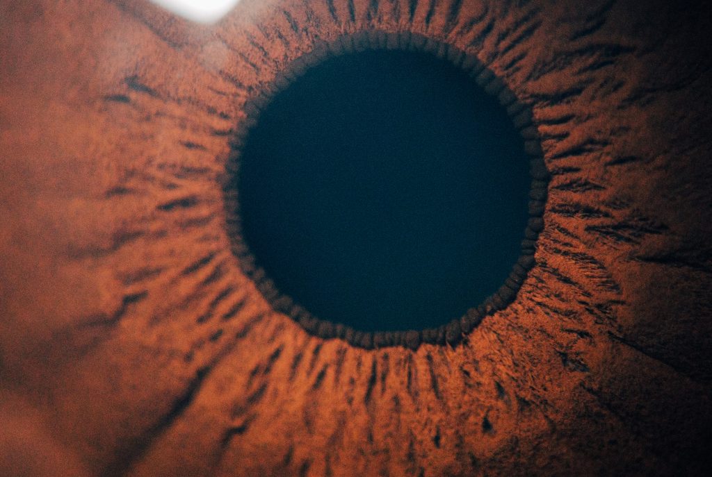 extreme-close-up-or-marco-photo-of-brown-iris-usef-2022-11-04-04-23-16-utc-1024x687.jpg